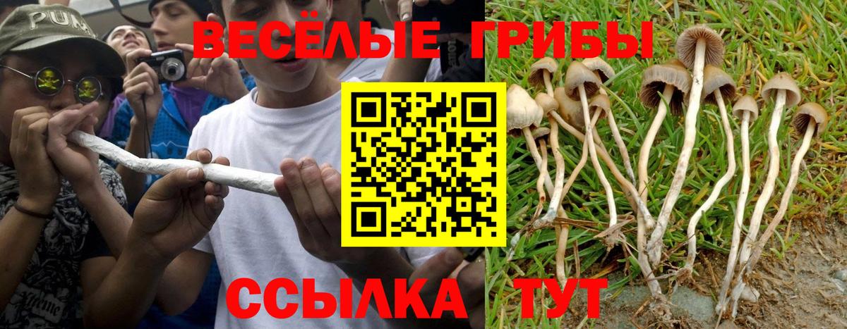 Галлюциногенные грибы мицелий  Вход с VPN  Углич  Псилоцибиновые грибы MAGIC MUSHROOMS 